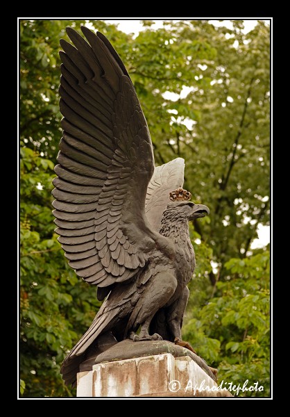 140 L aigle noir, symbole se trouvant sur les armoiries avec la clé d or 